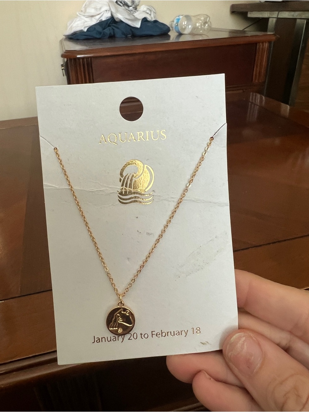 a new day Gold Aquarius Zodiac Disc Necklace